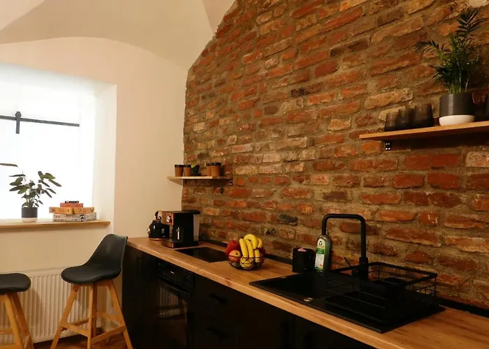 Apartment The Industrique - 3 Bedroom Timisoara