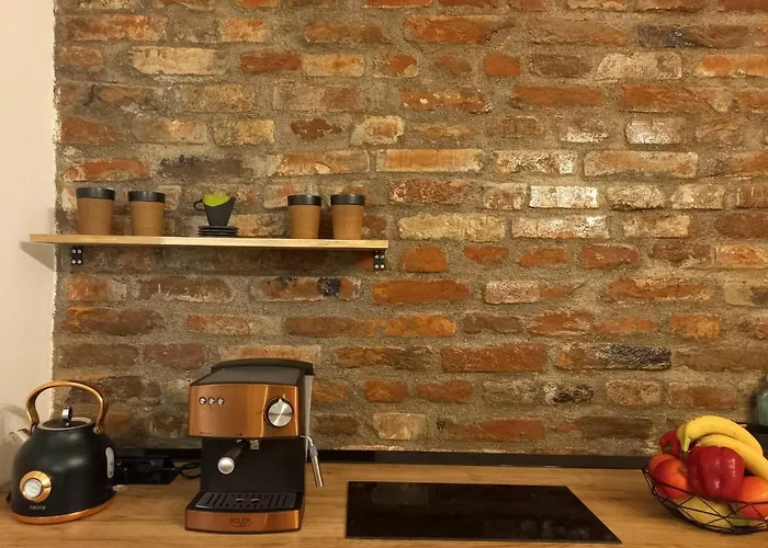 The Industrique - 3 Bedroom * Timisoara