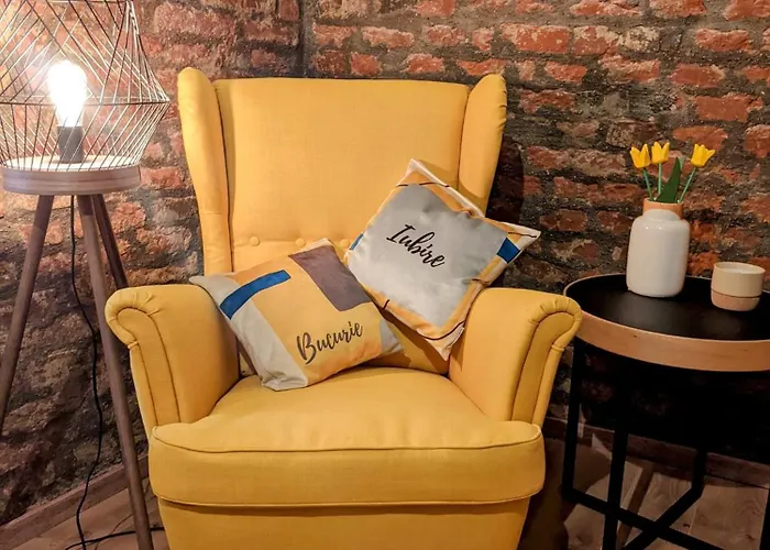 The Industrique - 3 Bedroom * Timişoara