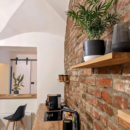 The Industrique - 3 Bedroom Apartment Timisoara